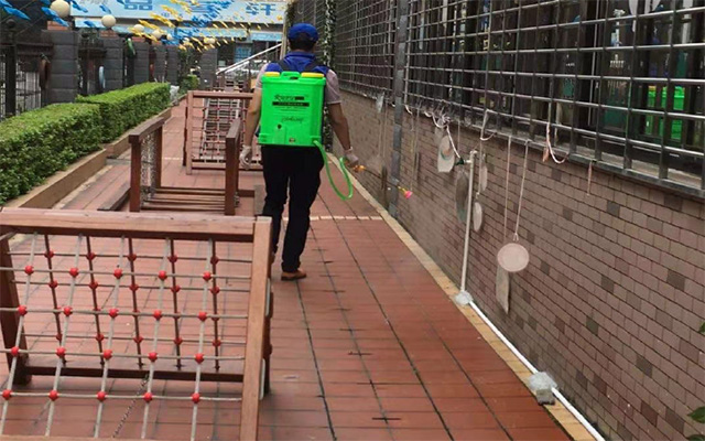 漳州白蟻預(yù)防及消殺